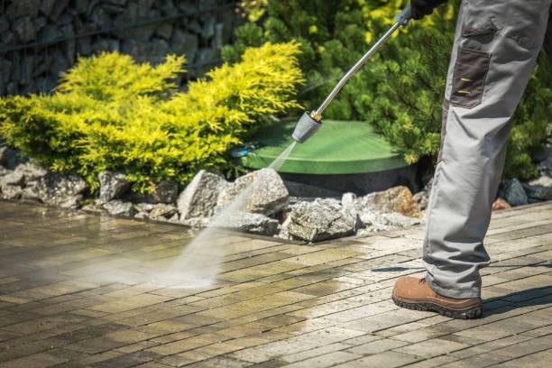 Animal Enclosure Cleaning in Bethany, OK